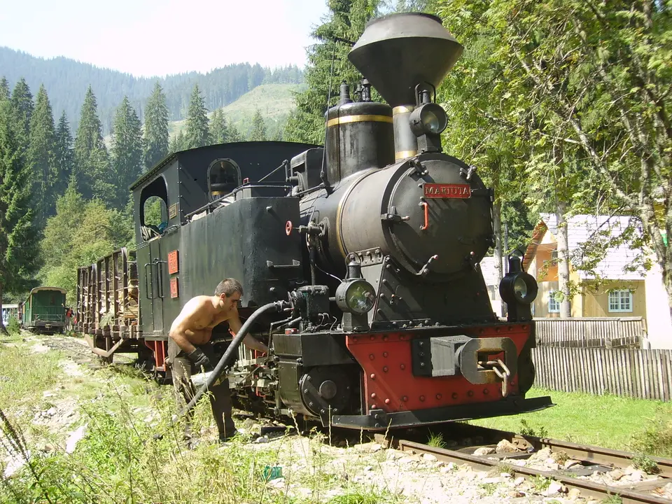 Mocănița de pe Valea Vaserului, județul Maramureș
